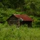 Bower Lodge