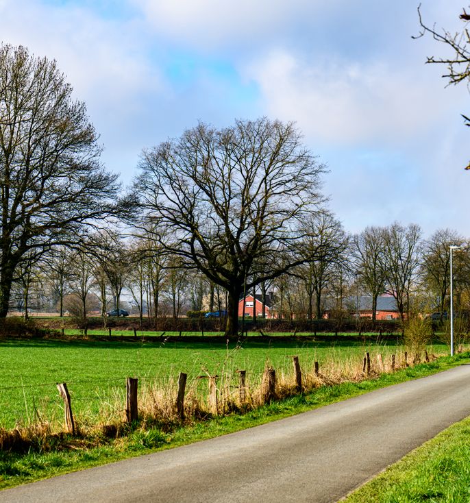 Bower Lodge