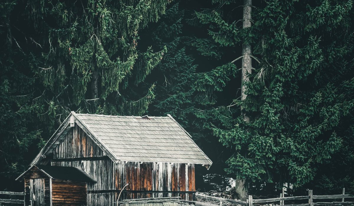 Bower Lodge