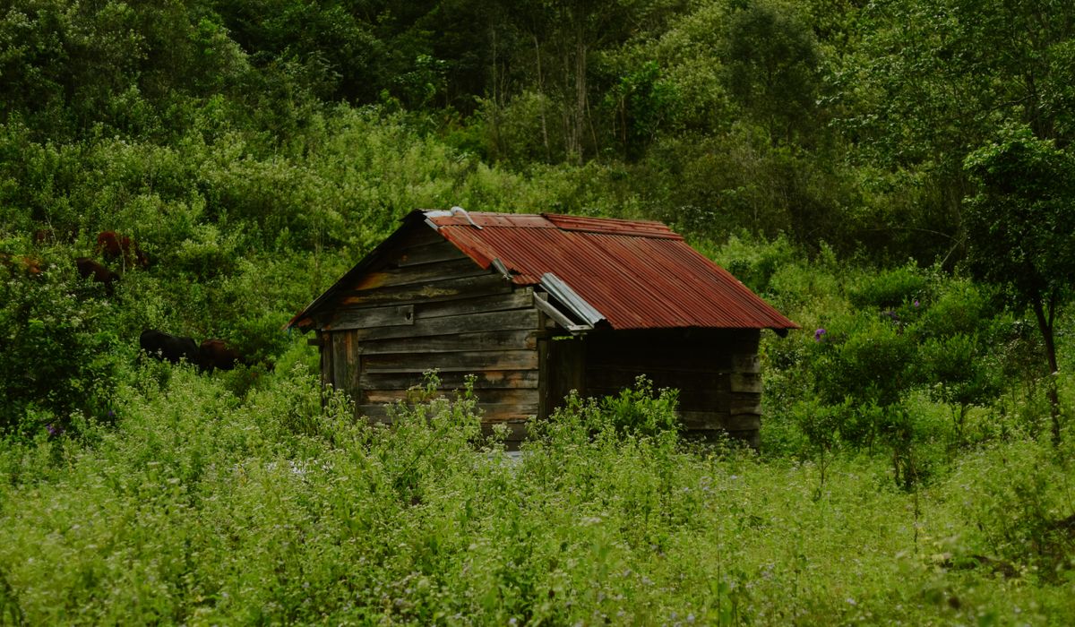 Bower Lodge